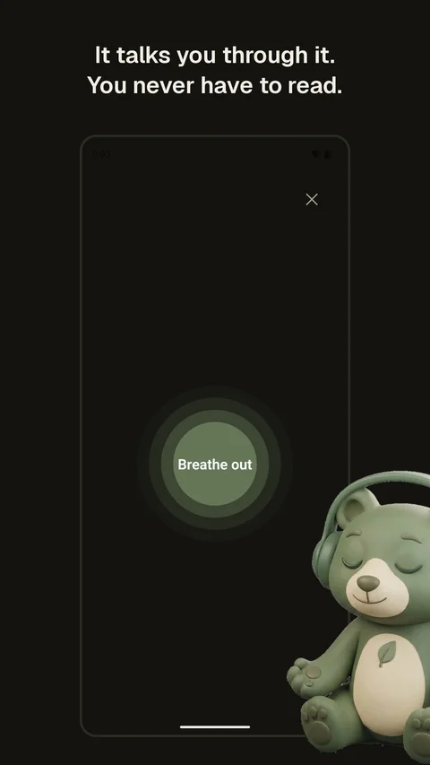 Ballast SOS Rescue Screen